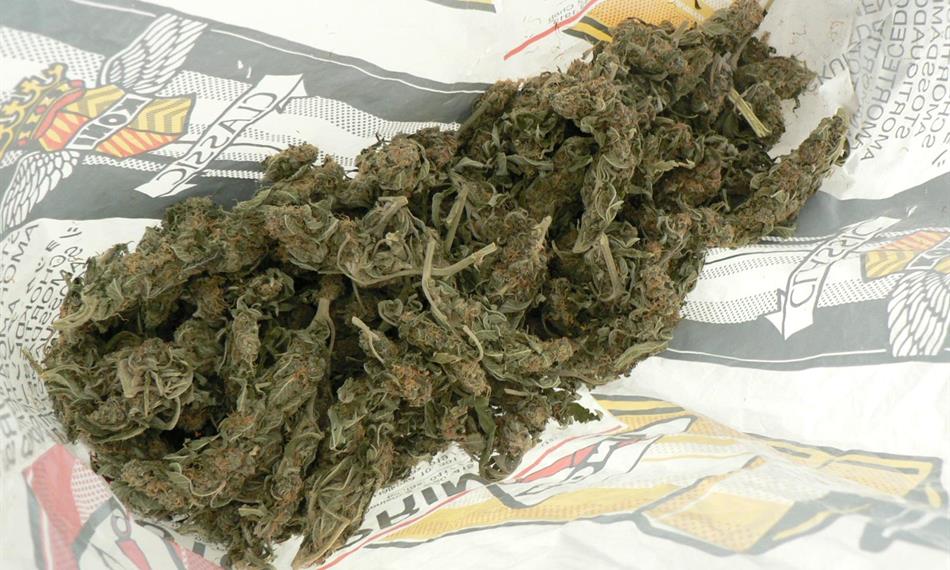 2013-3-26-1331marihuana 3.JPG